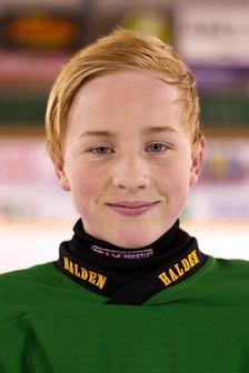 Sander