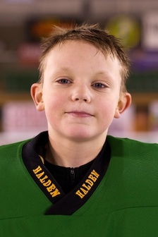 Sander A Torgersen