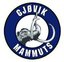 Gj�vik Hockey