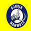Gj�vik Hockey