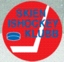 Skien